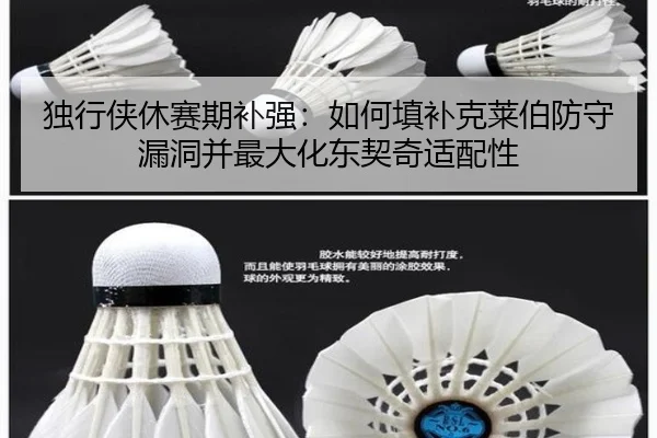 独行侠休赛期补强：如何填补克莱伯防守漏洞并最大化东契奇适配性