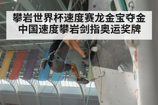 攀岩世界杯速度赛龙金宝夺金中国速度攀岩剑指奥运奖牌